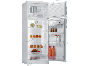 Холодильник Gorenje RFG325W (232251, HZS3266) - Фото